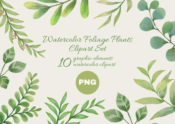 Download Watercolor Foliage Plants Clipart Set - Plant Collection