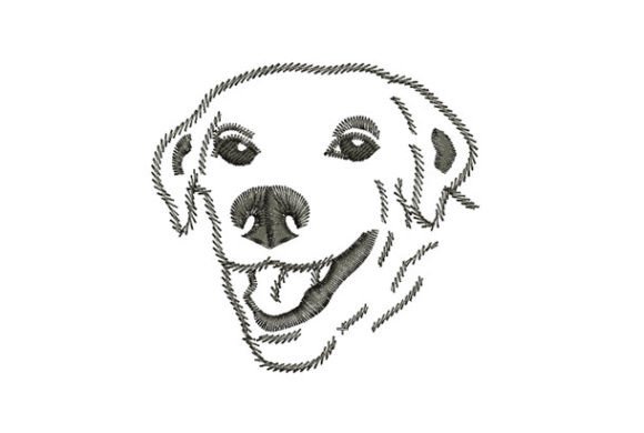 Download Golden Retriever - Gold Collection