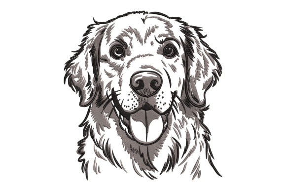 Download Golden Retriever - Gold Collection
