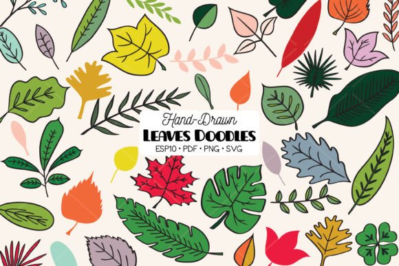 Download Colored Leaves | Tropical Foliage Plant - Plant Collection