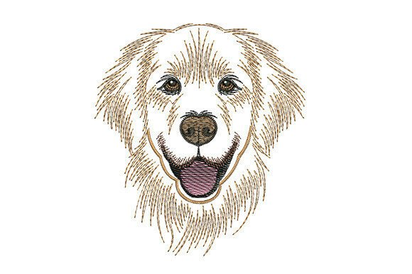 Download Golden Retriever Dog - Gold Collection