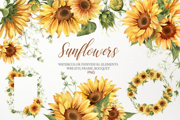 Download Watercolor Sunflower Clipart Bouquet PNG - Flower Collection
